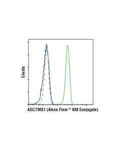 Cell Signaling Asc/Tms1 (D2w8u) Rabbit mAb (Mouse Specific) (Alexa Fluor® 488 Conjugate)
