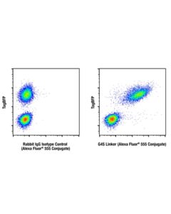 Cell Signaling G4s Linker (E7o2v) Rabbit mAb (Alexa Fluor ® 555 Conjugate)