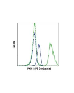 Cell Signaling Pkm1 (D30g6) Xp Rabbit mAb (PE Conjugate)