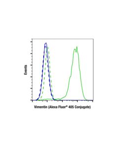 Cell Signaling Vimentin (D21H3) XP ® Rabbit mAb (Alexa Fluor ® 405 Conjugate)