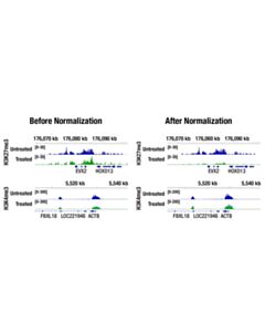 Cell Signaling Drosophila Spike-In Control Kit for CUT&Tag (Mouse)
