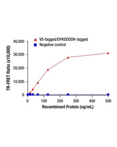 Cell Signaling V5-Tag (E9H8O) Mouse Monoclonal Antibody (trFluor ™ Europium Cryptate Conjugate)