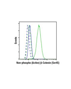 Cell Signaling Non-Phospho (Active) Beta-Catenin (Ser45) (D2u8y) Xp Rabbit mAb