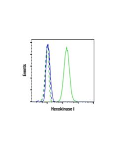 Cell Signaling Hexokinase I (C35c4) Rabbit mAb
