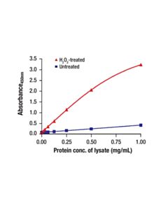 Cell Signaling Phospho-Src (Tyr416) Matched Antibody Pair