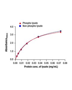 Cell Signaling Total ALK Matched Antibody Pair
