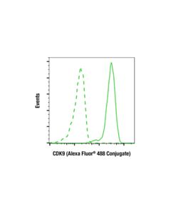 Cell Signaling CDK9 (C12F7) Rabbit mAb (Alexa Fluor ® 488 Conjugate)