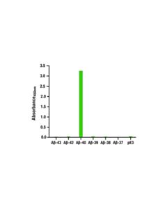 Cell Signaling beta-Amyloid (1-40) Matched Antibody Pair