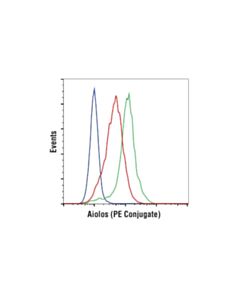 Cell Signaling Aiolos (D1C1E) Rabbit mAb (PE Conjugate); 20 µl