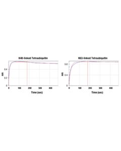 Cell Signaling Pan-branch Ubiquitin TUBE-UBQLN1 (Sepharose Bead Conjugate)