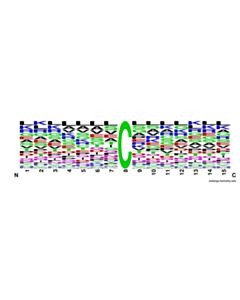 Cell Signaling PTMScan ® Carbamidomethyl Cysteine Motif (CAM-C) Kit