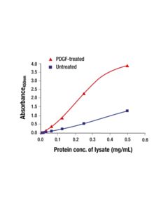 Cell Signaling Phospho-Bad (Ser136) Matched Antibody Pair
