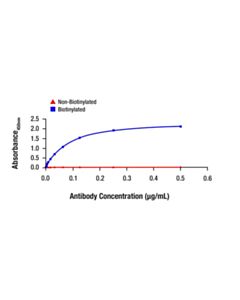 Cell Signaling Aiolos (D1C1E) Rabbit mAb (Biotinylated)