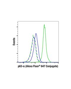 Cell Signaling P63-Alpha (D2k8x) Xp ® Rabbit mAb (Alexa Fluor ® 647 Conjugate)