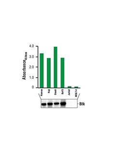 Cell Signaling Pathscan Total Btk Sandwich ELISA Kit