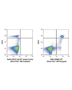 Cell Signaling Cd68 (D4b9c) Xp Rabbit mAb (Alexa Fluor 488 Conjugate)