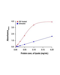 Cell Signaling Phospho-GSK-3 alpha (Ser21) Matched Antibody Pair