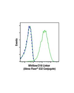 Cell Signaling Whitlow/218 Linker (E3u7q) Rabbit mAb (Alexa Fluor ® 532 Conjugate)