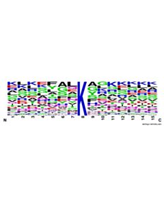 Cell Signaling PTMScan ® Formyl Lysine Motif (For-K) Kit