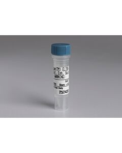 Cell Signaling Fastscan ELISA Cell Extraction Enhancer Solution (50x)
