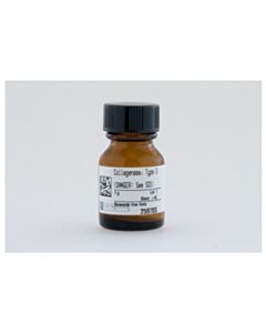 Cell Signaling Collagenase, Type 3