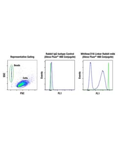 Cell Signaling Posibeads ™ Whitlow/218 Linker Positive Control Beads