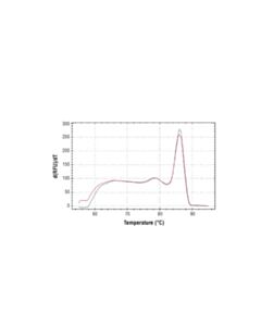 Cell Signaling Simplechip Human Mef2a Exon 1 Primers