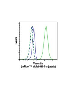 Cell Signaling Vimentin (D21H3) XP ® Rabbit mAb (mFluor ™ Violet 610 Conjugate)