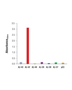 Cell Signaling Pathscan Beta-Amyloid (1-42) Sandwich ELISA Kit
