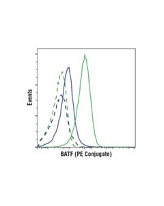 Cell Signaling BATF (D7C5) Rabbit Monoclonal Antibody (PE Conjugate)
