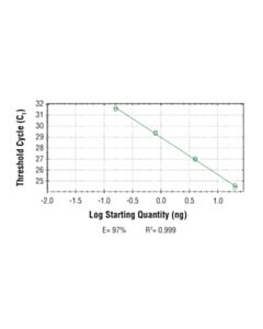 Cell Signaling Simplechip Human Gla Promoter Primers