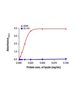 Cell Signaling Bax Matched Antibody Pair