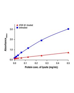 Cell Signaling Total p27 Kip1 Matched Antibody Pair