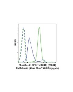 Cell Signaling Phospho-4e-Bp1 (Thr37/46) (236b4) Rabbit mAb (Alexa Fluor 488 Conjugate)