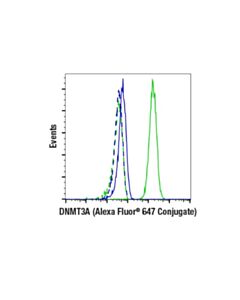 Cell Signaling Dnmt3a (D2h4b) Rabbit mAb (Alexa Fluor ® 647 Conjugate)