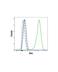 Cell Signaling Bim (C34c5) Rabbit mAb
