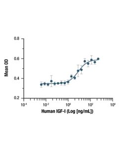 Cell Signaling Human IGF-I Recombinant Protein
