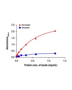 Cell Signaling Phospho-Chk1 (Ser345) Matched Antibody Pair