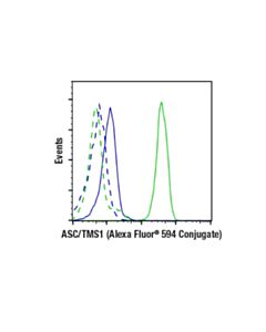 Cell Signaling Asc/Tms1 (D2w8u) Rabbit mAb (Alexa Fluor® 594 Conjugate)
