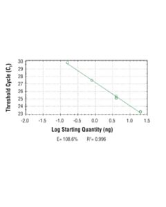 Cell Signaling Simplechip Mouse Sla2 Promoter Primers