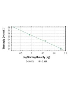 Cell Signaling Simplechip Human Wars Intron 1 Primers