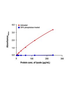 Cell Signaling Phospho-BCKDH-E1-alpha (Ser293) Matched Antibody Pair