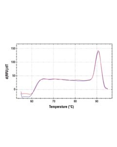 Cell Signaling Simplechip Human Mrpl36 Promoter Primers