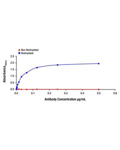 Cell Signaling CRBN (F4I7F) Rabbit mAb (Biotinylated)