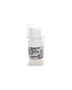 Cell Signaling Cut&Run 10x Wash Buffer