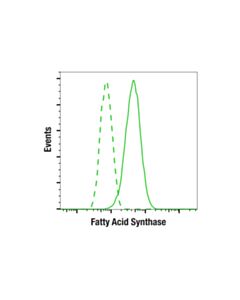 Cell Signaling Fatty Acid Synthase (C20g5) Rabbit mAb