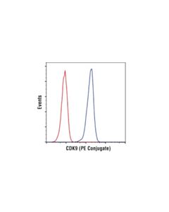 Cell Signaling Cdk9 (C12f7) Rabbit mAb (PE Conjugate)