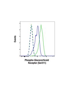 Cell Signaling Phospho-Glucocorticoid Receptor (Ser211) (F7L7X) Rabbit mAb
