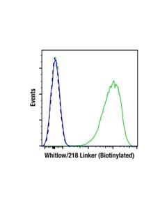 Cell Signaling Whitlow/218 Linker (E3u7q) Rabbit mAb (Biotinylated)