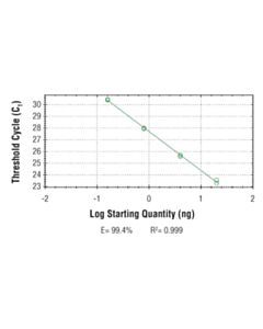 Cell Signaling Simplechip Human Klk3 Promoter Primers
